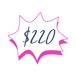 BASIC cleaning package — $220